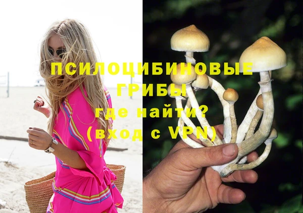 каннабис Алзамай