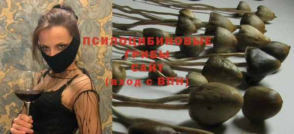 mix Алексин